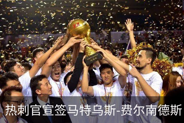 热刺官宣签马特乌斯-费尔南德斯 转会费8500万镑破纪录